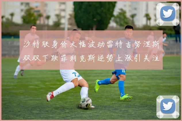 沙特联身价大幅波动雷特吉努涅斯双双下跌菲利克斯逆势上涨引关注