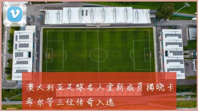 澳大利亚足球名人堂新成员揭晓卡希尔等三位传奇入选